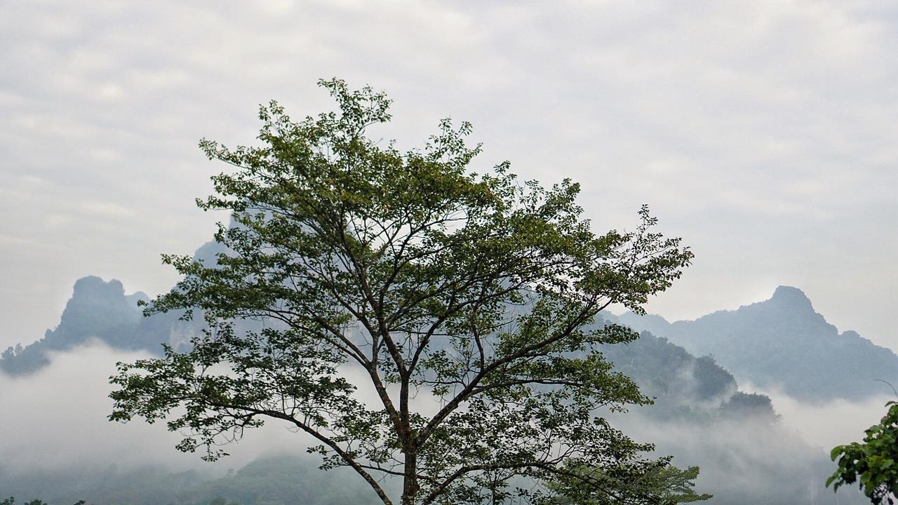 Khaowong Resort Phang Nga Eksteriør billede